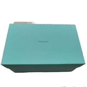 Tiffany & Co. Gift Large Box Bubble Wrap and Ribbon
